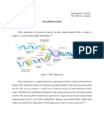 Dna Replication