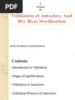 Autoclave Validation Maliba