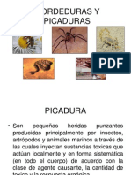 Mordeduras y Picaduras