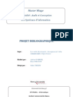 Projet Bibliographique