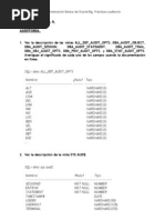 Practicas AUDITORIA Tema9