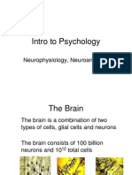 Neuroscience PPT 2458