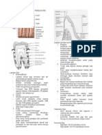 PDF Dokumen