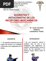 Agonistas y Antagonist As de Los Receptores Muscarinicos