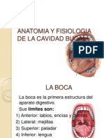 2 - Terminologia Anatomica