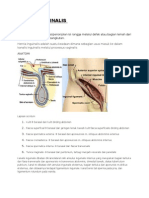 Hernia Inguinal Is