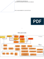 Harta Procesuala Practica