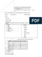 II Prueba Formativa Sistemas Organicos II