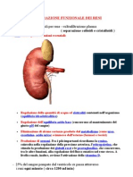 Esplorazione Funzionale Dei Reni10