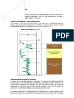 Intro Perfilaje de Pozos