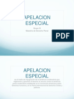 Apelacion Especial Penal