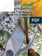 Principles of Pruning