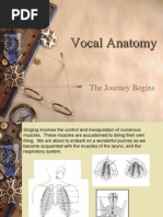 Vocal Anatomy: The Journey Begins