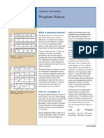 Phosphate Hideout: Questions and Answers