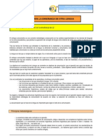 Metodología para La Enseñanza de Otra Lengua