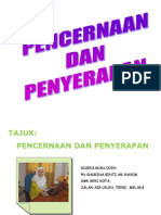 1.3 Pencernaan Dan An