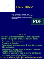 Perfil Lipidico