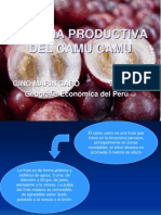 Cadena Productiva Del Camu Camu - Gino Marin Caro