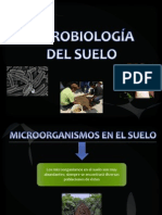 Microbiologia Del Suelo