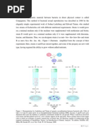 Conjugation and Transformation