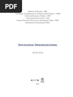 Fasciculo de Sociologia - Organizacional