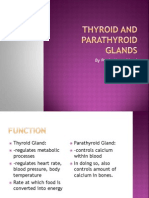 Thyroid and Parathyroid Glands