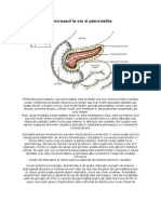 Pancreasul La Om Si Pancreatita