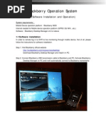 Blackberry Installation and Operation Instruction (En)