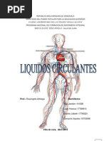 Liquidos Circulantes Trabajo