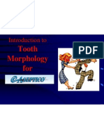 Tooth Morphology For: Introduction To