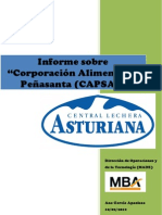 Informe CAPSA