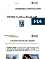 Aduana - PPT - PDF Prueba Ordenanza y LO.