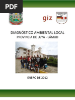 Diagnóstico Ambiental Local - Luya PDF