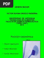 Exposicion Mucor