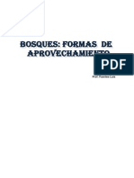 Bosques Formas de Aprovechamiento