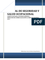 Manual de Seguridad y Salud Ocupacional ANH