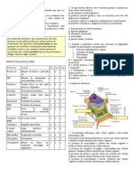 Biologia Celular Resumo e Atividade Complementar