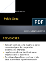 La Pelvis Osea Exponer