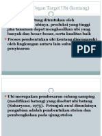 A Organ Target Ubi TPT 3