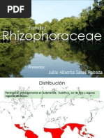 Familia Rhizophoraceae