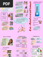 Triptico de Autoestima