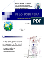 Aula Sobre Filos Porifera, Placozoa, Mesozoa, Orthonectida e Dicyemida