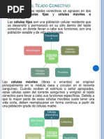 Tejido Conectivo Celulas