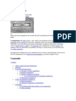 Fisica Magnetismo