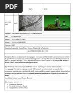 Ficha de Inventario 3