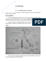 Nerve Vestibulocochlearis