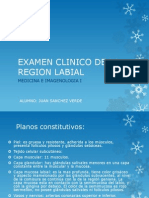 Examen Clinico de La Region Labial