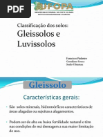 TRABALHO de SOLO - Gleissolo & Luvissolo