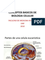 Conceptos Basicos de Biologia Celular