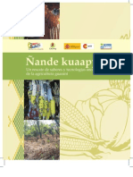 Ñande Kuaapy Tee